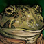 Shreg
