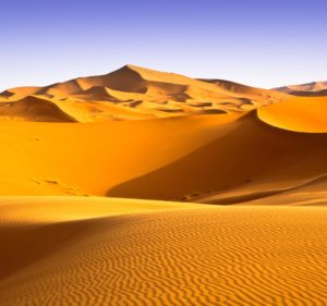 A desert of rippling dunes.