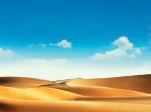 A desert of rippling dunes.